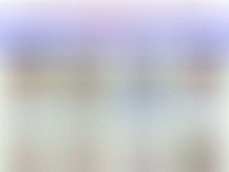 WE PRESENT TO YOU OUR BEST PERFORMERS