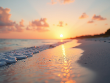 The Best Time of Year to Elope in Sarasota.