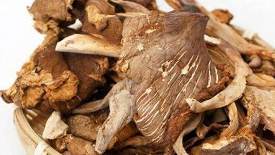 Copy of M9. Half lbs Dried Gallatella | 幹雞樅菌