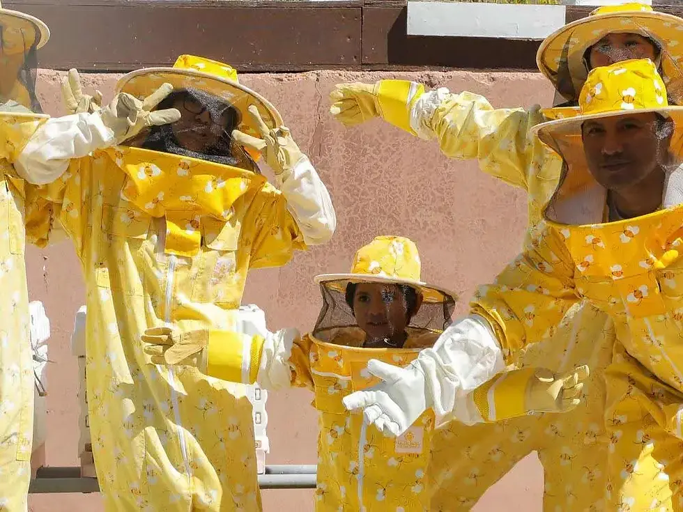 Миниатюра: Honeybee Garden Tour gift voucher