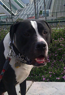 A big hearted boy!