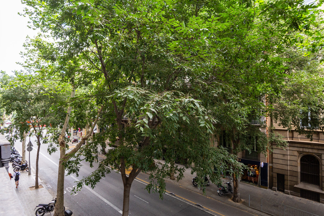 Habitación doble en alquiler en Barcelona en apartamento Coliving