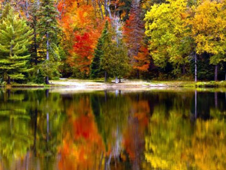 Grateful Hearts, Cozy Homes: Celebrating Thanksgiving in the True North." 🍁🤗