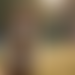 Effective Dog Training Tips: Mastering Training Methods for Your Dog