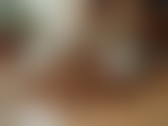 The Real Cost of Dog Ownership Expenses UK