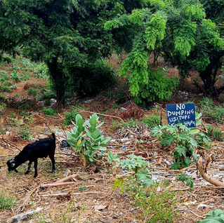 A day in Watamu in February 2024: A Mosaic of Challenges