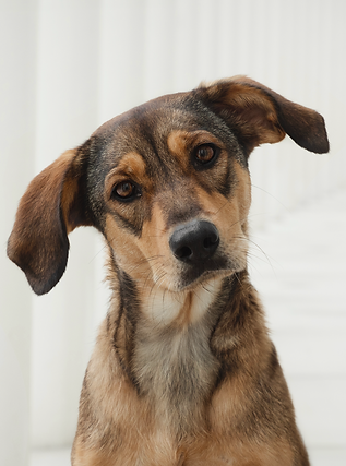 Bildschirmfoto 2024-11-03 um 22.36.01.png