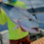 big catch while deep sea fishing oahu