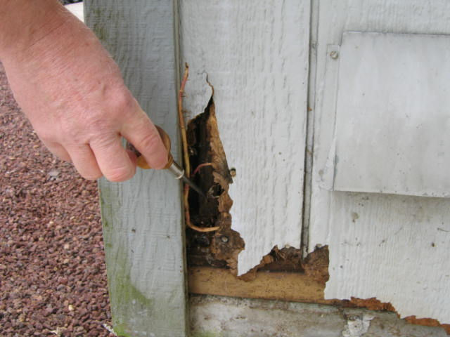 Siding Issues