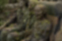 twdwb empties.jpg