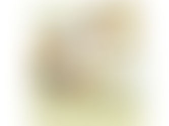 染め名古屋帯　栗鼠
