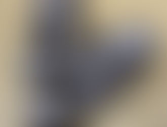 履きやすい草履