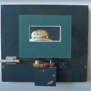 Tortoise Automaton I