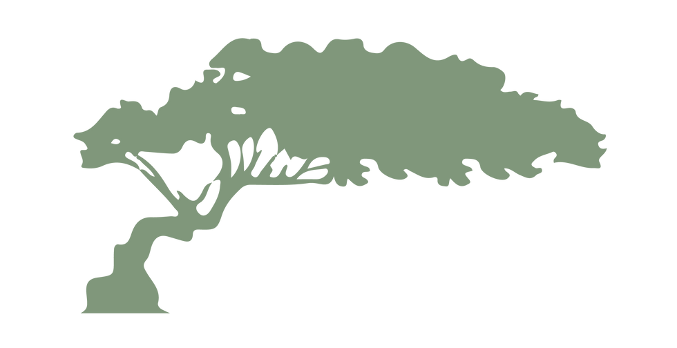 LML_1 - Tree.png