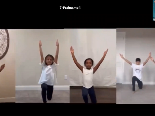 VT SEVA Dallas 13th Annual Tarangini Recap