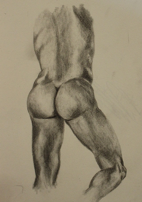Back, Glutes & Legs Study