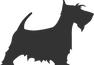 PetFriendly.png