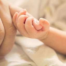 Midwifery with Baby Holding Parent