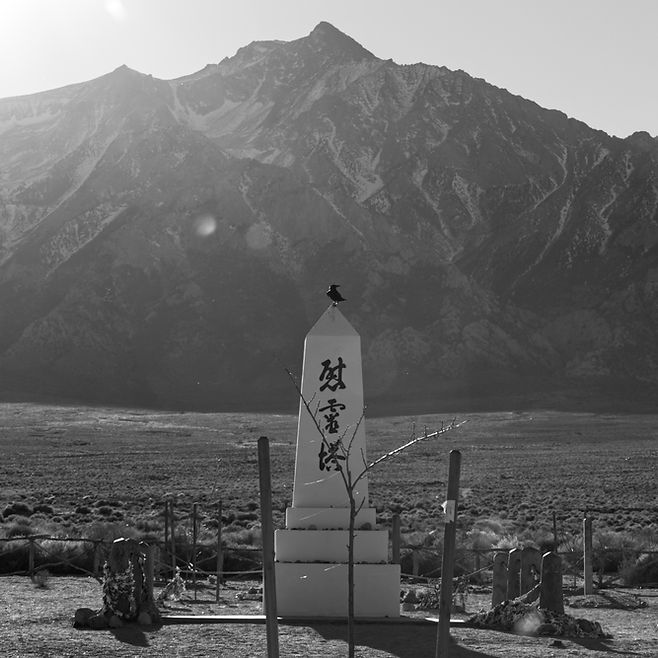 IMG_5585 BW Edit (1).jpg