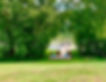 362a9d78-59d0-48f0-8e8d-413bcd929729.jpeg