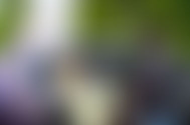 Celebrate National Family Caregivers Month: Plug-in to Care with Travel Training