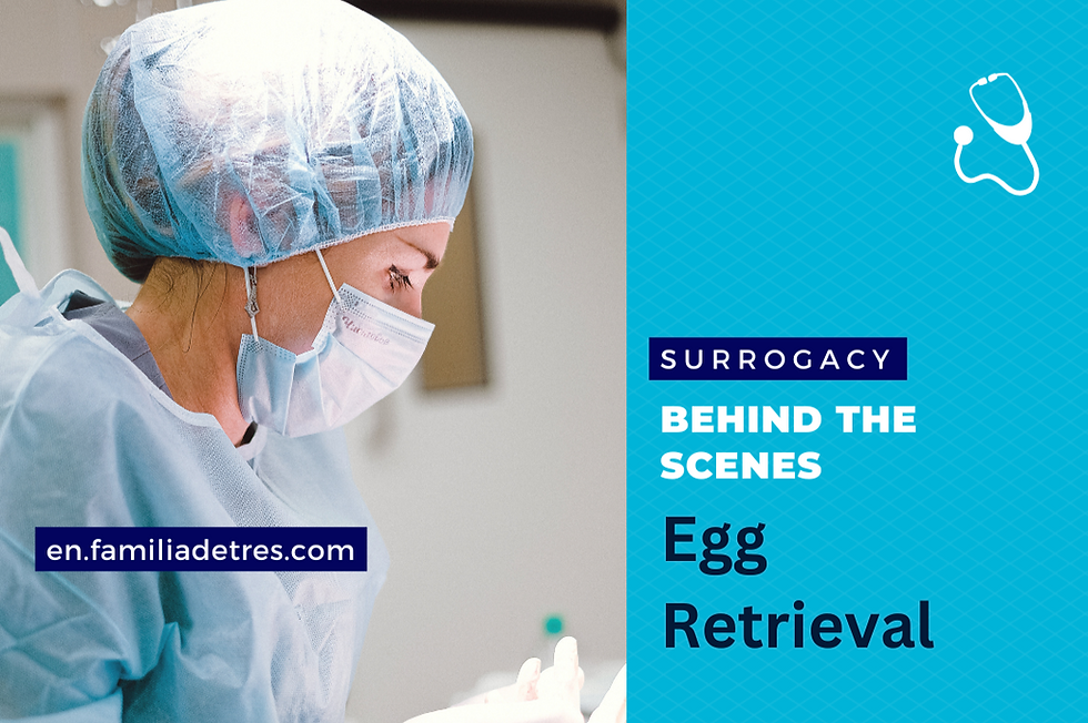 Egg Retrieval: Behind the Scenes