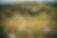 chattoogabellefarm.events