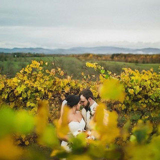 chattoogabellefarm.wedding
