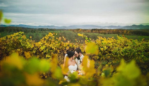 chattoogabellefarm.wedding