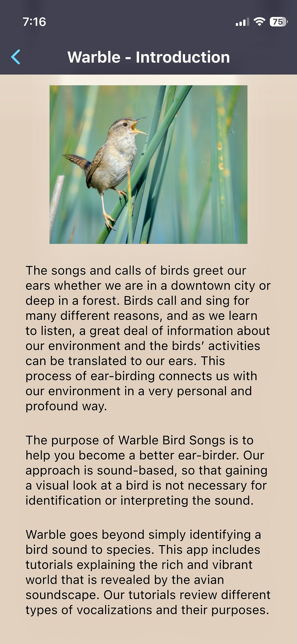 The introduction section of the app. There is a photo of a Marsh Wren singing from a reed at the top, and a paragraph about birding by ear below it.