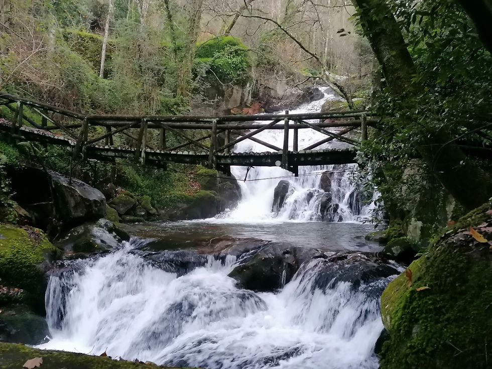 Cascata da Ribeira de Sampaio