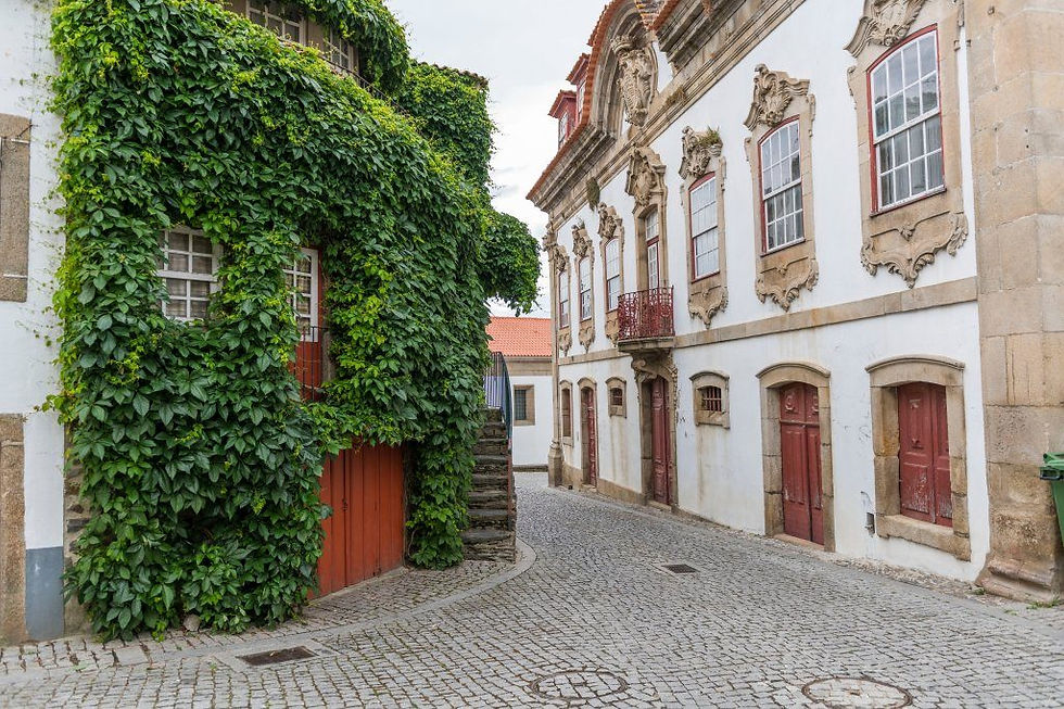 Provesende village in portugal