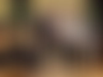 Gerda fékk gullmerki