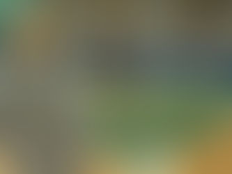 Góður árangur á Reykjavíkurmótinu