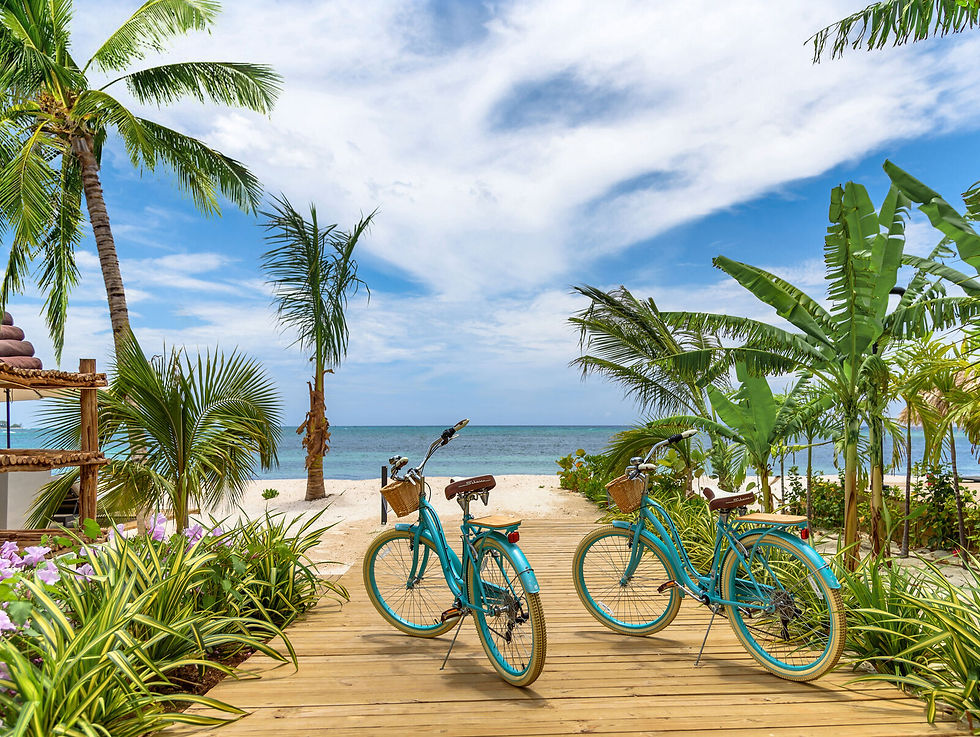 beach-villa-with-private-pool-in-jamaica.jpg