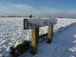 Thanks for visiting our website, if