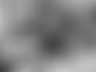 Efficiënter en gelukkiger werken in de kantoortuin.