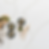 Thumbnail: Calacatta Goa