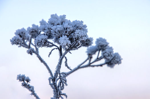 Schnee aud der Düne (10).jpg