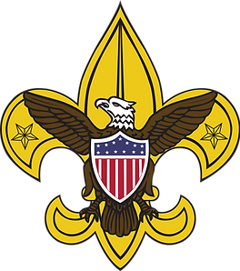 Boy Scouts of America universal emblem