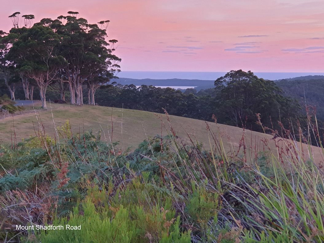 Gallery Blue House Denmark