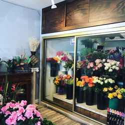 Flower Power