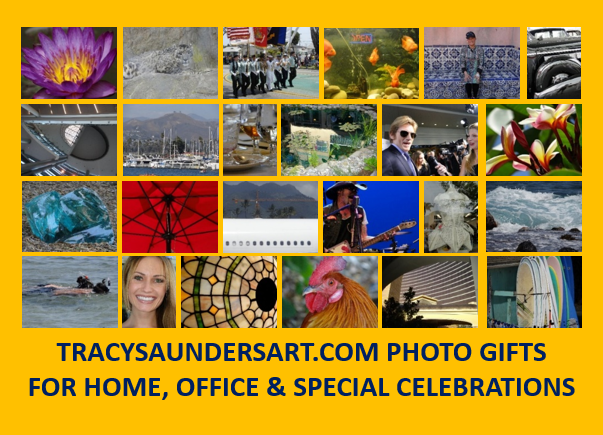 TracySaundersArt.com