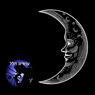 פלוגת הטנקים הסודית של ירושלים תמונת הפרק עושים היסטוריה
