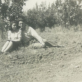 שביט ראשי.jpg