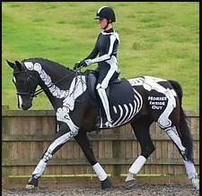Gillian Higgins Horses Inside Out