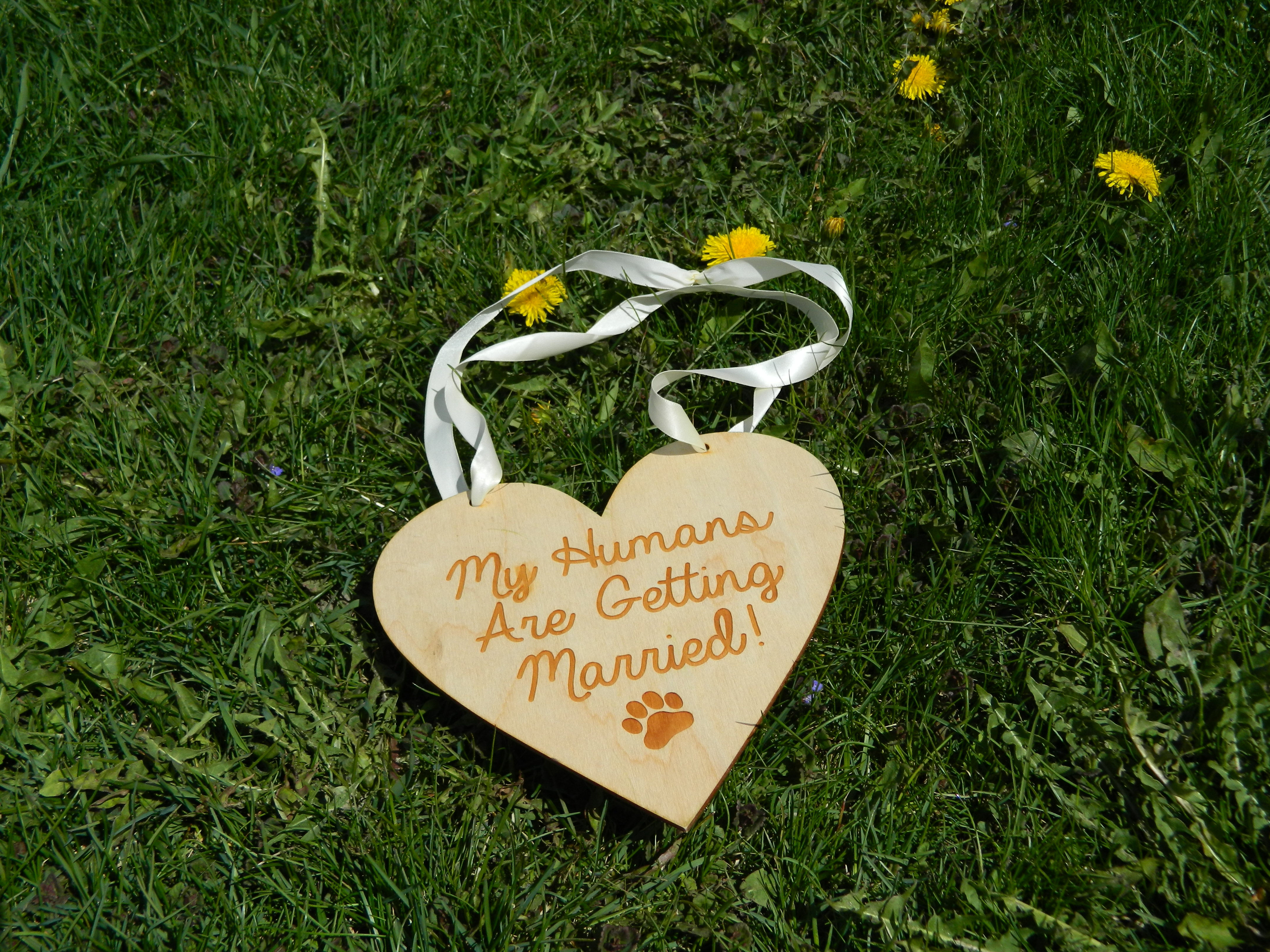 Humans Are Getting Married Heart