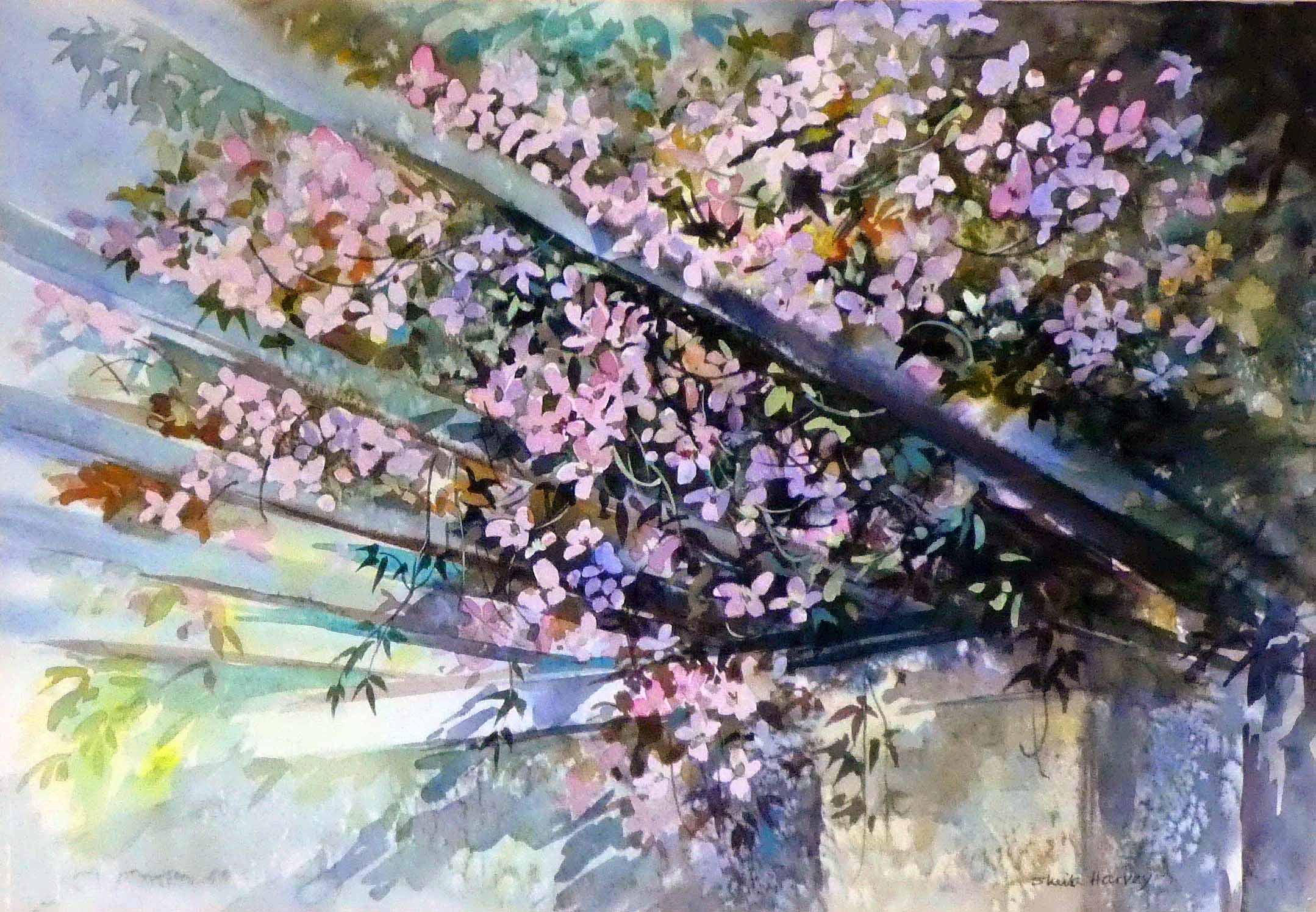 WATERCOLOUR SHEILA HARVEY