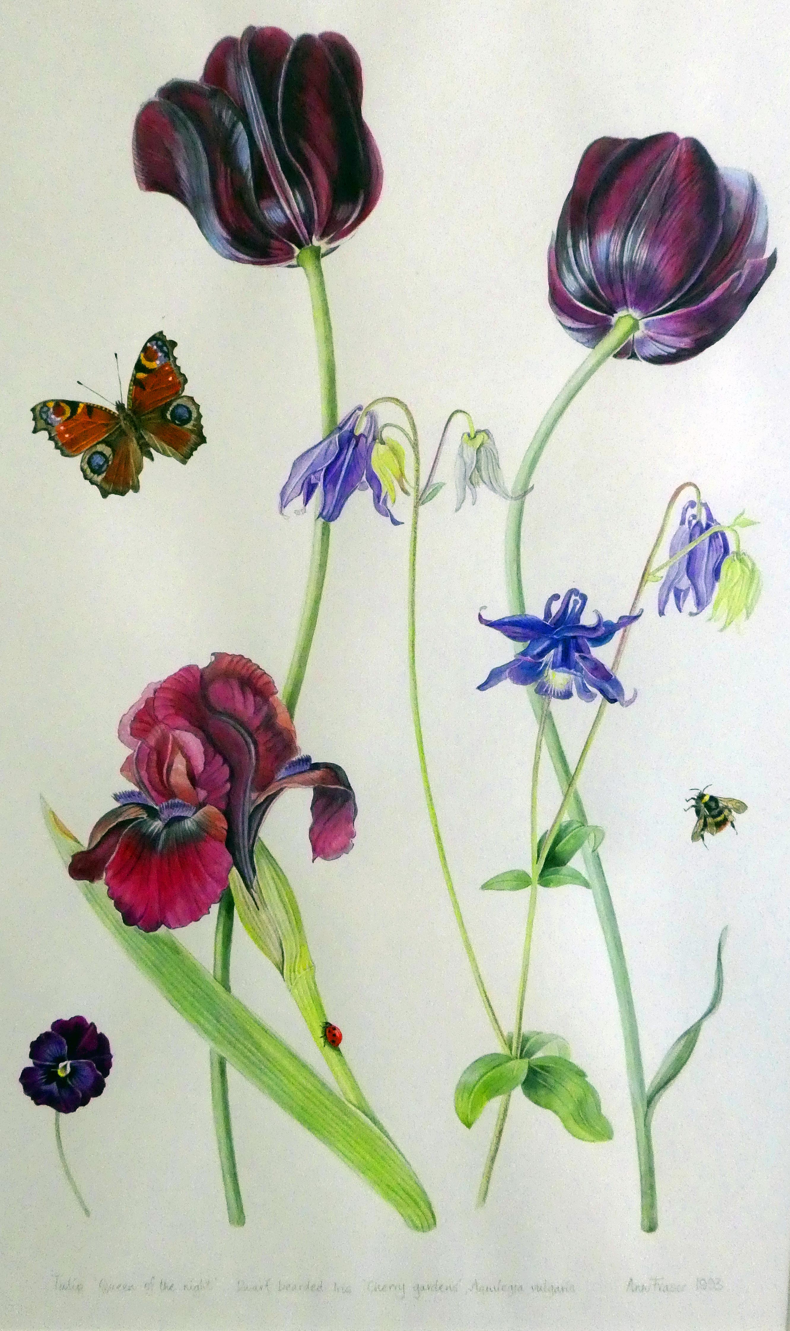 WATERCOLOUR ANNE FRASER (b. 1936)