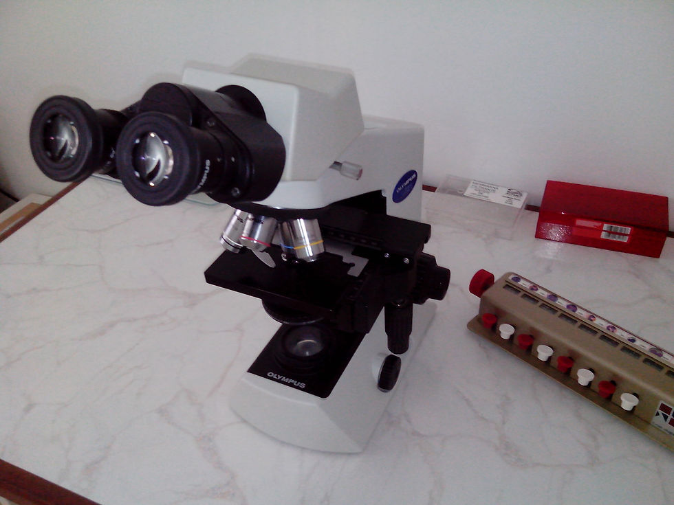 Laboratório 3